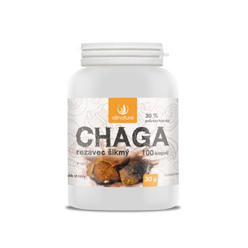 Allnature Chaga 100 kapsulí