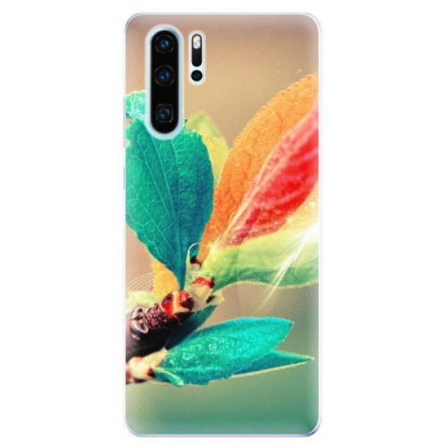 Odolné silikonové pouzdro iSaprio - Autumn 02 - Huawei P30 Pro