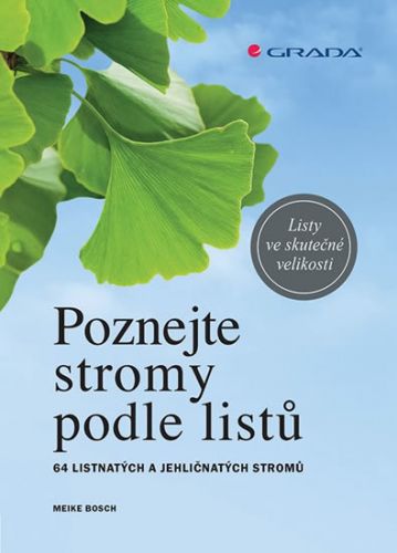 Poznejte stromy podle listů (64 listnatých a jehličnatých stromů)