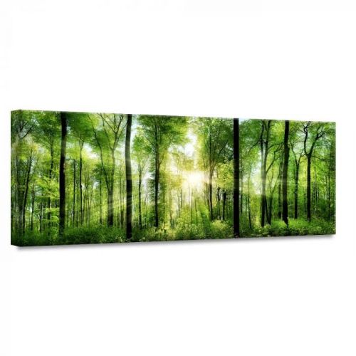 Obraz Styler Glasspik Nature Sunlight, 50 × 125 cm