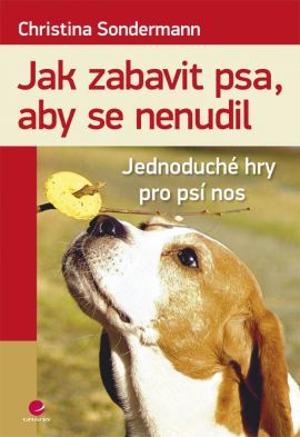 Jak zabavit psa, aby se nenudil (Jednoduché hry pro psí nos)