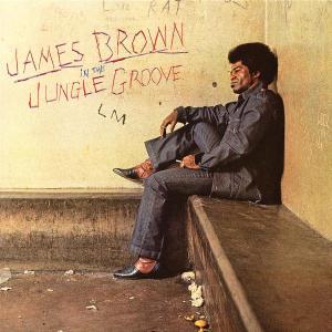 CD BROWN JAMES - IN THE JUNGLE GROOVE