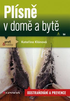 Plísně v domě a bytě (Odstraňování a prevence)