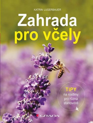 Zahrada pro včely (Tipy na rostliny pro různá stanoviště)