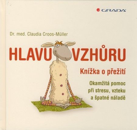 Hlavu vzhůru (Knížka o přežití - Okamžitá pomoc při stresu, vzteku a špatné náladě)