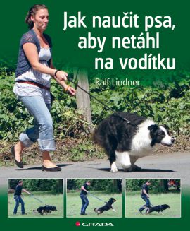 Jak naučit psa, aby netáhl na vodítku (Rady teriéra Bertíka)