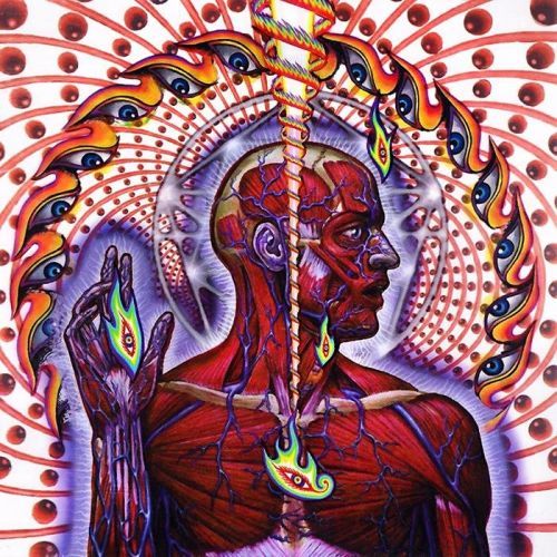 Tool - CD Lateralus