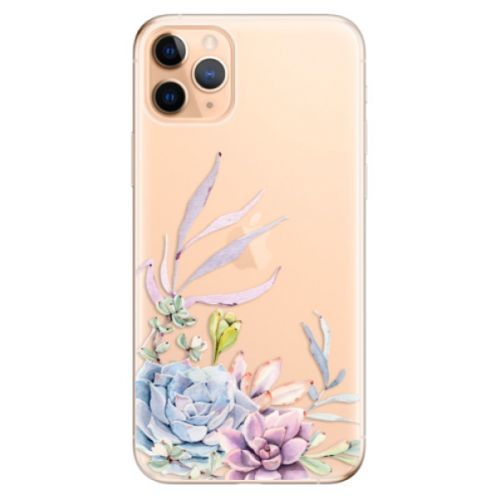 Odolné silikónové puzdro iSaprio - Succulent 01 - iPhone 11 Pro Max