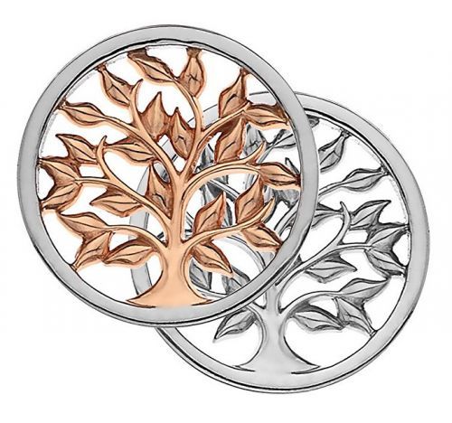 Hot Diamonds Bicolor prívesok Emozioni Balance and Harmony RG Coin EC478-EC479 33 mm