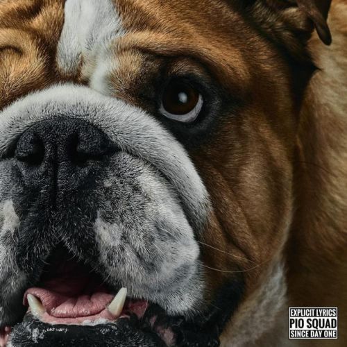 Filip Konvalinka - CD Buldok