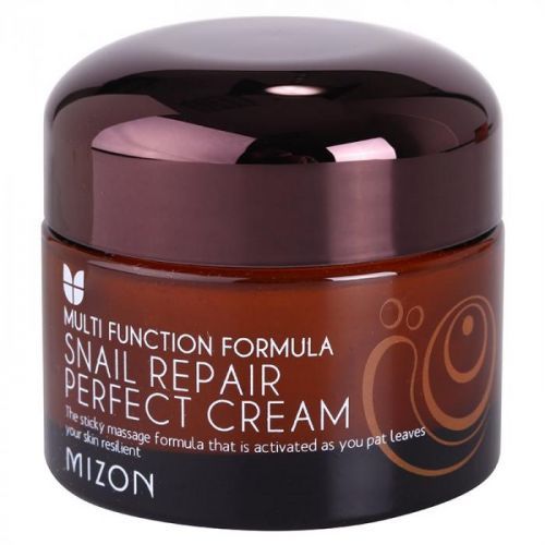 Mizon Multi Function Formula pleťový krém s filtrátom sekrétu zo slimáka 60% 50 ml
