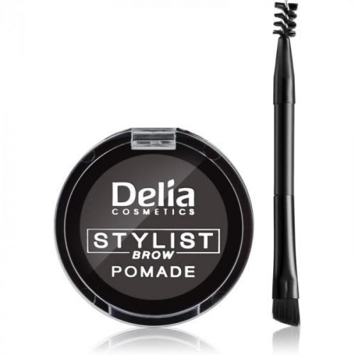 Delia Cosmetics Eyebrow Expert pomáda na obočie odtieň Graphite