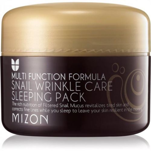 Mizon Multi Function Formula regeneračná pleťová maska s extraktom zo slimáka 80 ml
