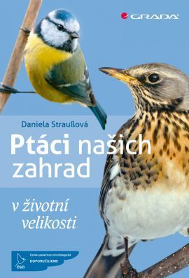 Ptáci našich zahrad (V životní velikosti) - Daniela Straußová