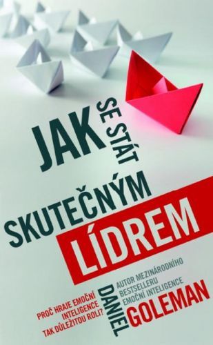 Jak se stát skutečným lídrem (Proč hraje emoční inteligence tak důležitou roli?)