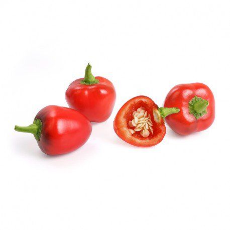Lingot s BIO semenami červených paprík pre inteligentné kvetináče Véritable