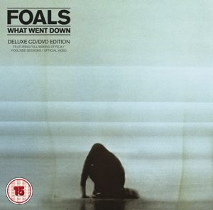 CD FOALS - WHAT WENT DOWN (CD+DVD)