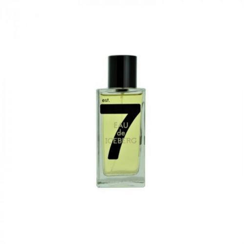 Iceberg Eau de Iceberg 74 Pour Homme toaletná voda pre mužov 100 ml