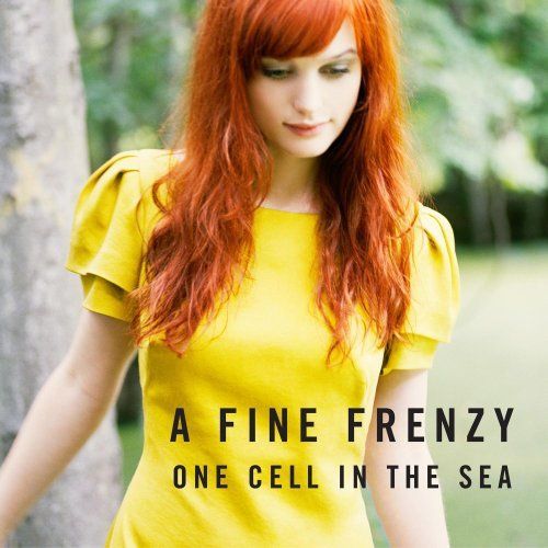CD FINE FRENZY - ONE CELL IN THE SEA