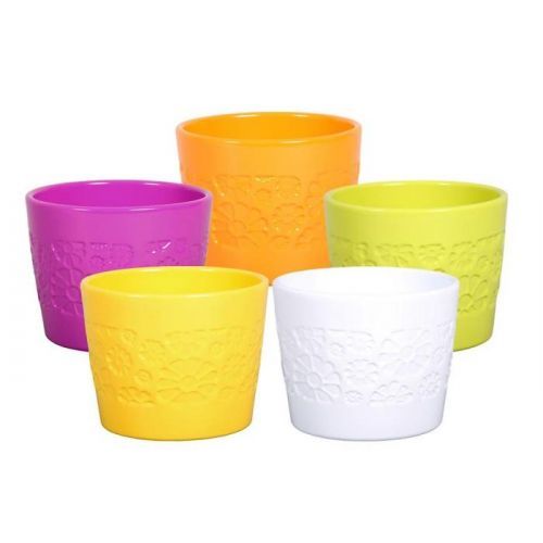 Obal Sparta FL 11 cm/mix