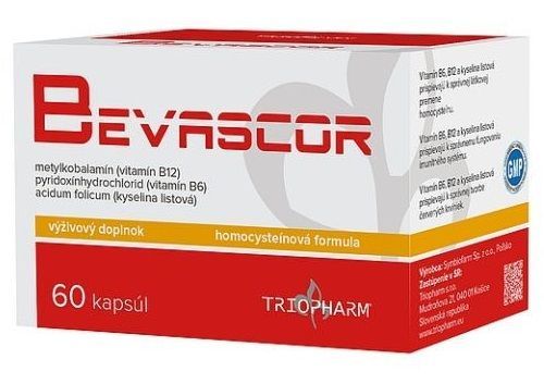 Bevascor 60 cps