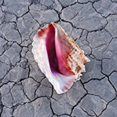 CD THE KILLERS - WONDERFUL WONDERFUL/SOFTPA