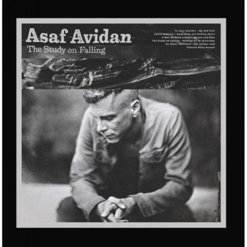 CD ASAF AVIDAN - THE STUDY ON FALLING