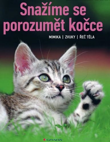 Snažíme se porozumět kočce (Mimika, zvuky, řeč těla)