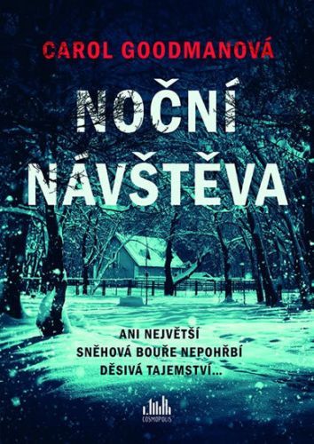 Noční návštěva (Ani největší sněhová bouře nepohřbí děsivá tajemství)