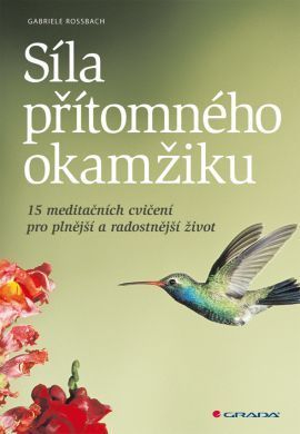 Síla přítomného okamžiku (15 meditačních cvičení pro plnější a radostnější život)