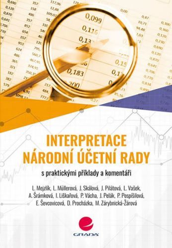 Interpretace Národní účetní rady (s praktickými příklady a komentáři)