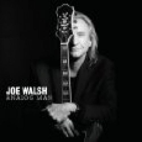 CD WALSH JOE - ANALOG MAN