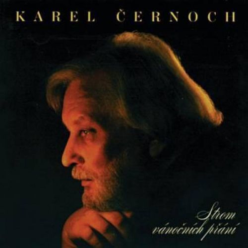 CD CERNOCH KAREL - STROM VANOCNICH PRANI