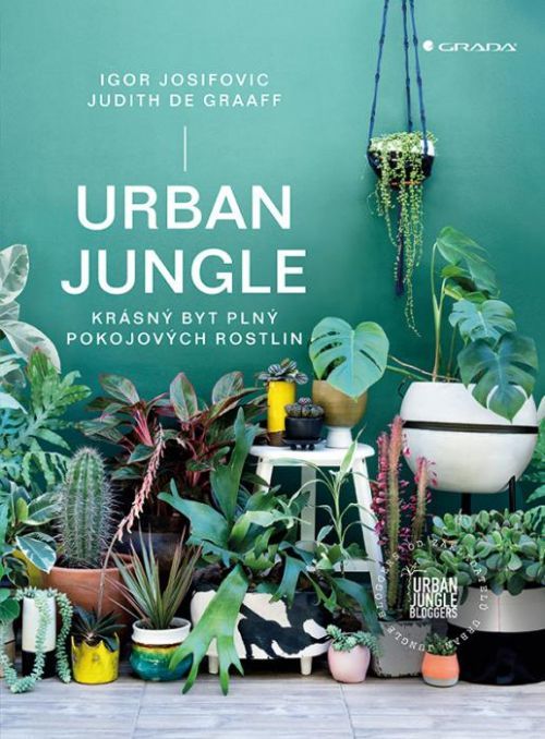 Urban Jungle (Krásný byt plný pokojových rostlin)