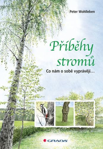 Příběhy stromů (Co nám o sobě vyprávějí...)