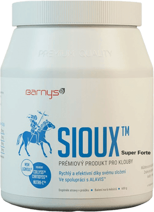 Barny's Sioux MSM Super Forte prášok 600g