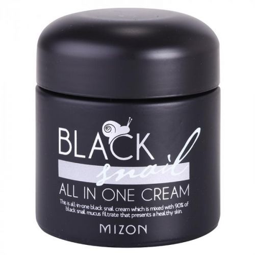 Mizon Black Snail All in One pleťový krém s filtrátom sekrétu zo slimáka 90% 75 ml