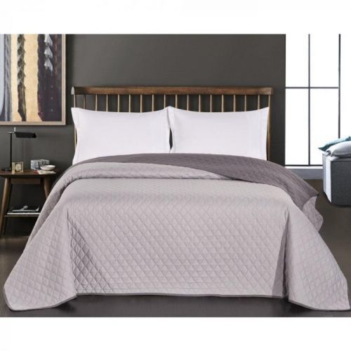 Sivý obojstranný pléd z mikrovlákna DecoKing Axel, 220 × 240 cm