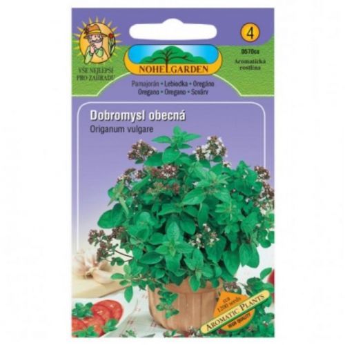 Pamajorán obyčajný - oregáno