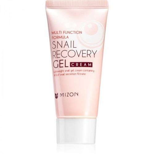 Mizon Multi Function Formula pleťový gél s extraktom zo slimáka 45 ml