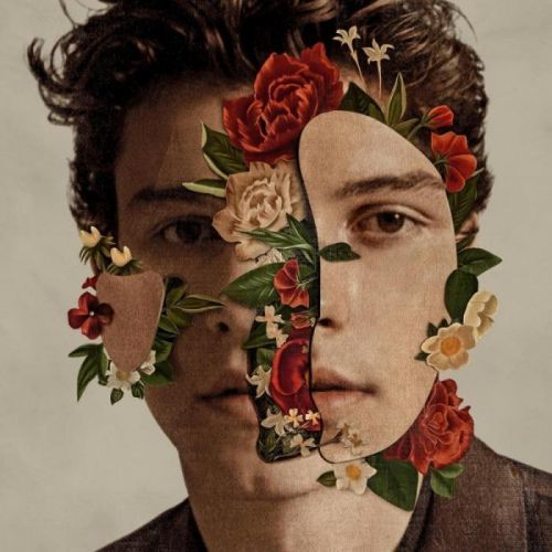 Vinyl MENDES SHAWN - SHAWN MENDES