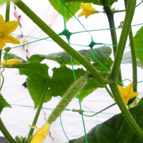 Sieťka plant net 8g/ m2 2x10m AS-CN08151720010