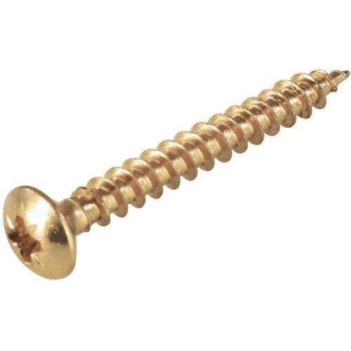 Vruty oblá hlava pasivované na žlto 4,0x25mm