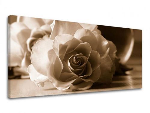 Obraz na stenu Panoráma KVETY XOBKV104E13