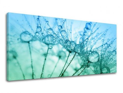 Obraz na stenu PANORÁMA KVETY KV061E13