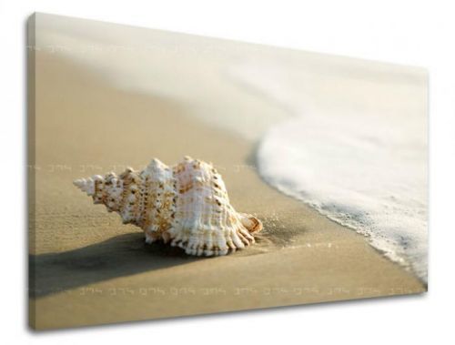 Obraz na stenu PLÁŽ PL006E11