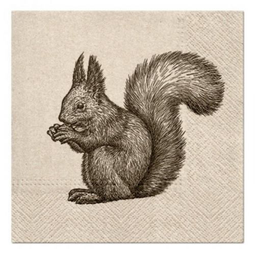 Eko servítky na dekupáž Squirrel - 1 ks