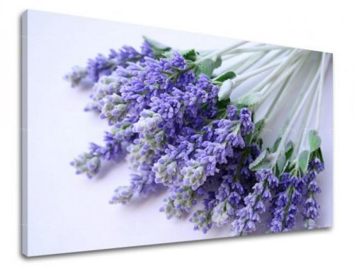 Obraz na stenu KVETY XOBKV122E11