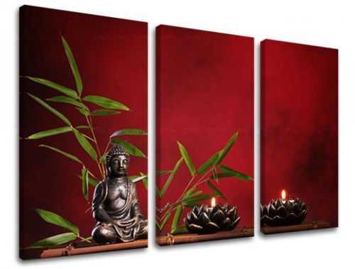 Obraz na stenu 3 dielny FENG SHUI FS013E30
