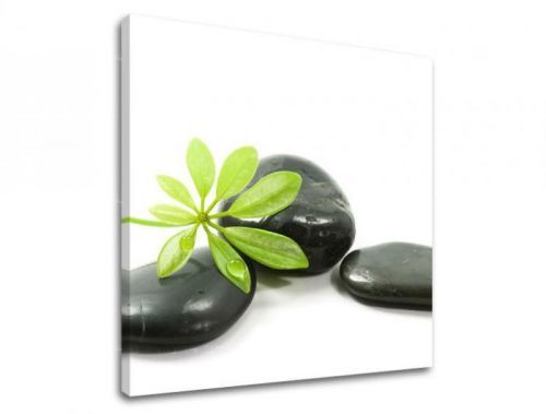 Obraz na stenu FENG SHUI FS041E12